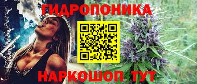 PSILOCYBIN Краснознаменск