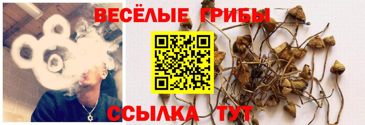 Галлюциногенные грибы Magic Shrooms  Псилоцибиновые грибы мицелий  Химки  Вход с VPN 